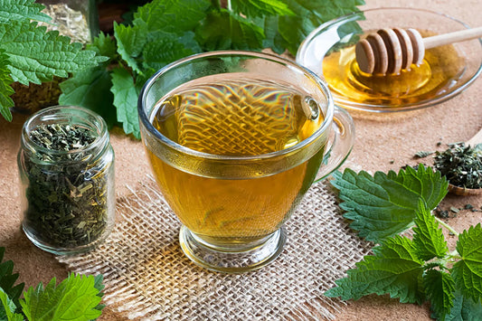 Nettle Leaf: The Prickly Green Powerhouse That Heals From Top to Bottom